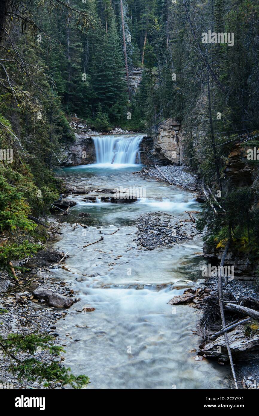 Vue apaisante de la cascade dans la forêt, Banff, Alberta, Canada Banque D'Images