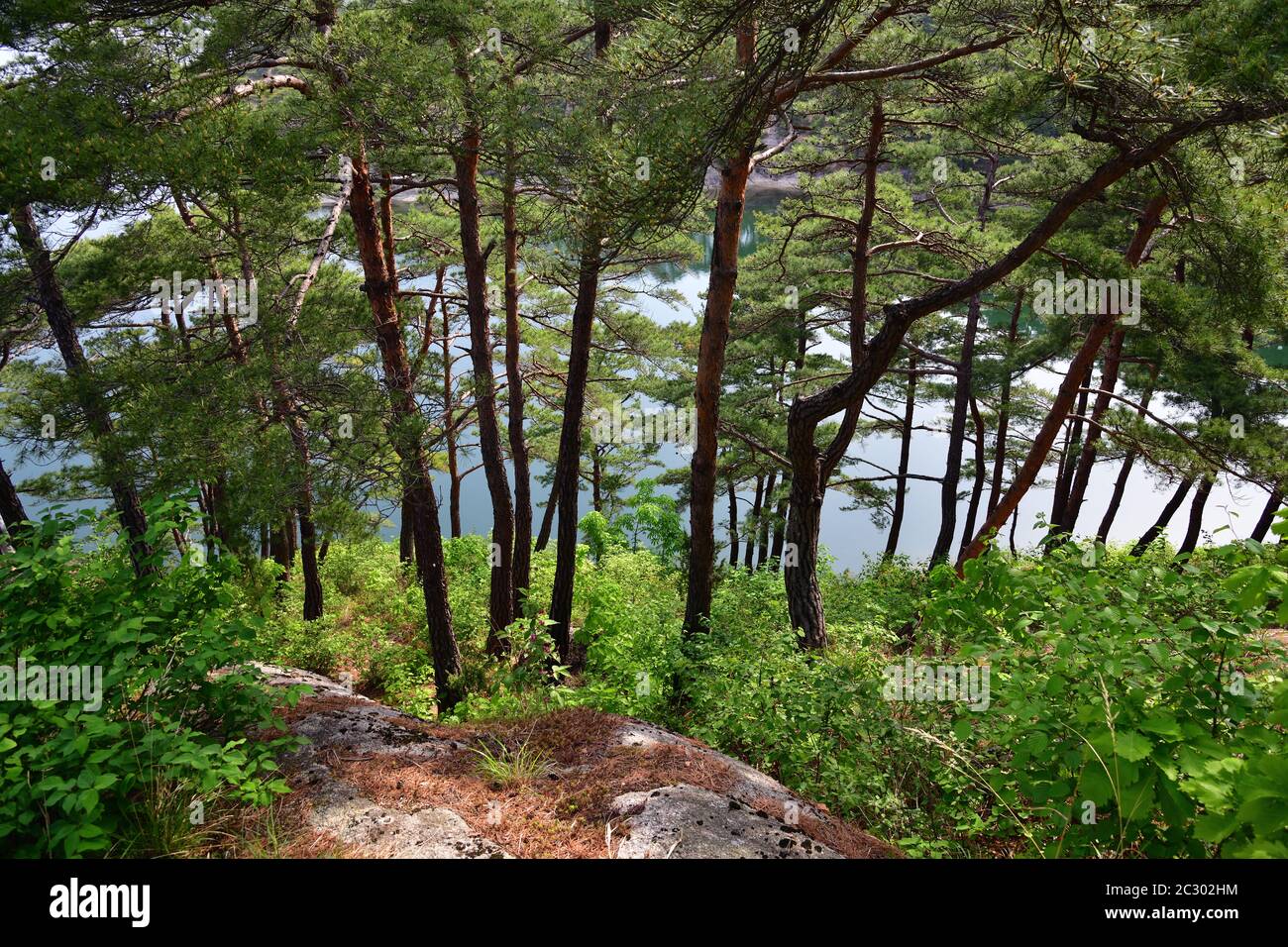 Corée du Nord. Mt. Réserve de biosphère de Kumgang. Lagoon Samil ...