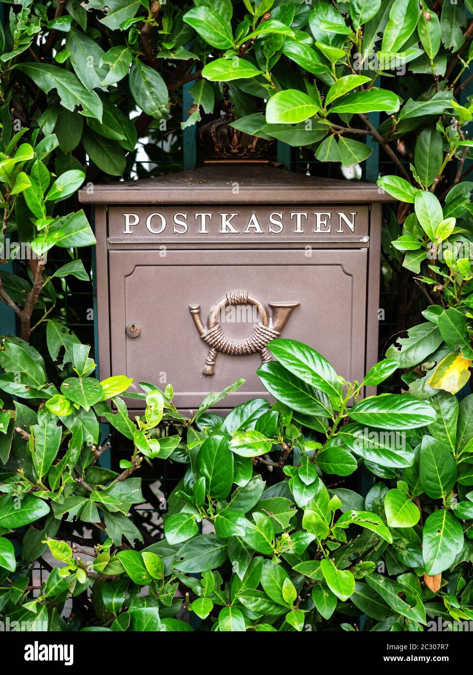 Russie, Sotchi 10.03.2019. Boîte aux lettres en fer brun avec inscription et motif en buissons verts Banque D'Images