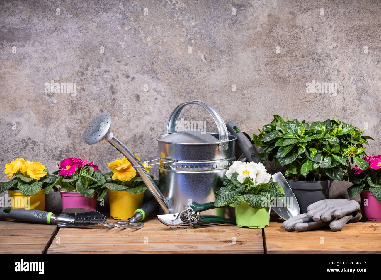 Outils De Jardinage Et Fleurs Prêts À Être Plantés Contre Le Mur De Béton Banque D'Images