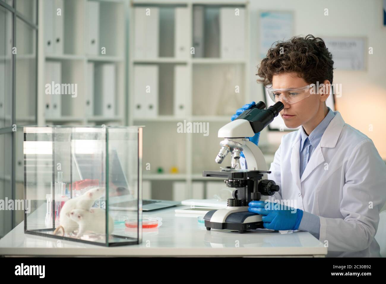 Technicien de laboratoire concentré à poil dur dans des lunettes de sécurité et des gants de protection travaillant sur de nouveaux médicaments en laboratoire expérimental Banque D'Images