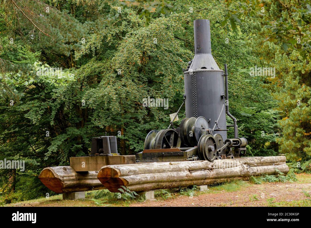 Steam Donkey Log Mover, UBC Malcolm Knapp Research Forest, Maple Ridge, Colombie-Britannique, Canada Banque D'Images