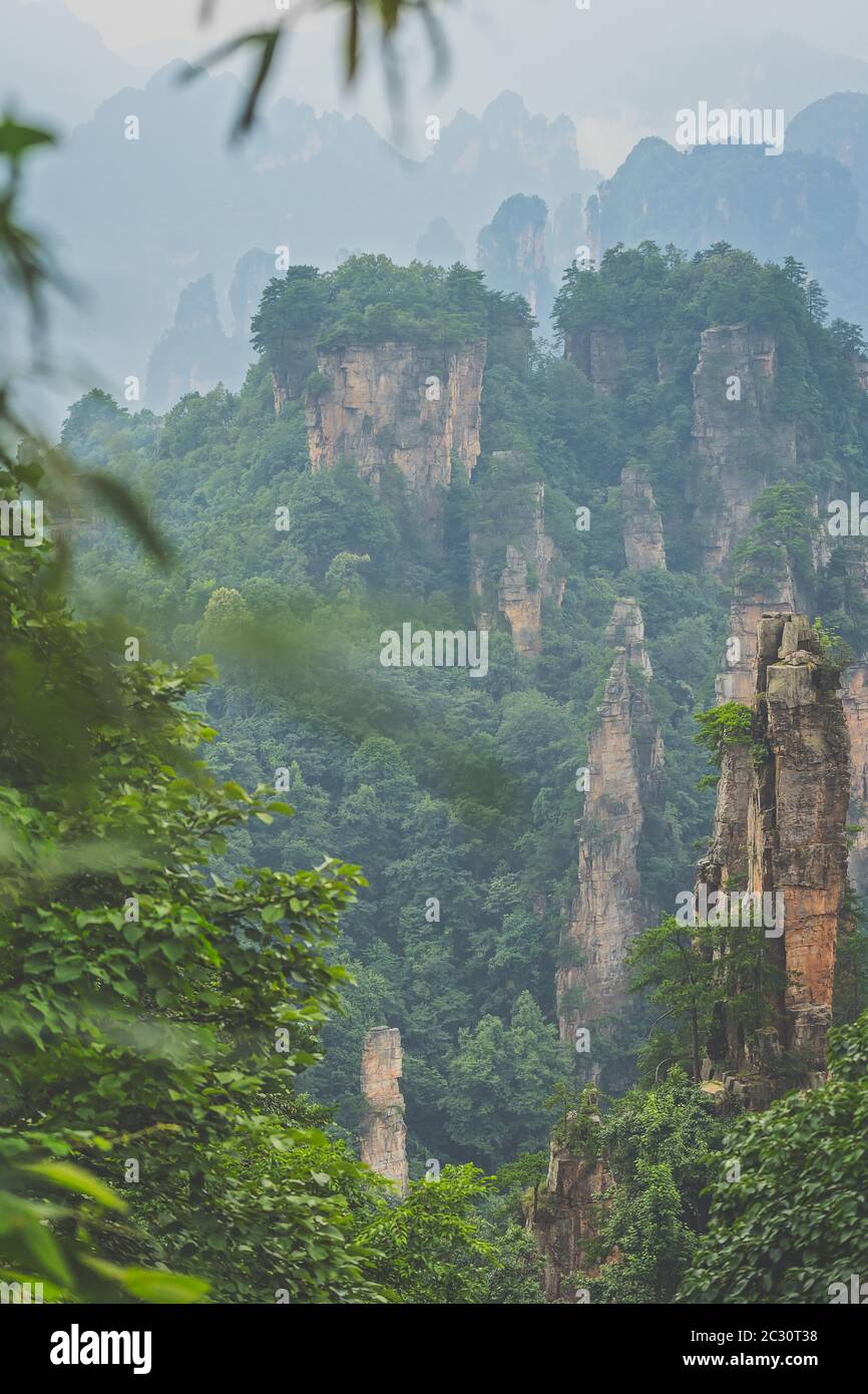 Vue verticale des piliers de pierre de monts Tianzi dans Zhangjiajie National Park qui est une célèbre attraction touristique, la province du Hunan, Wulingyuan Banque D'Images