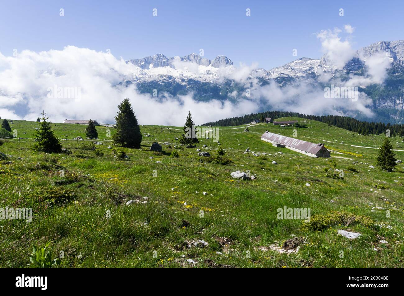 Altopiano del Montasio (Italie) - le plateau de Montasio (1500 mètres a.s.l.) avec quelques-uns de ses almes dans la région italienne du Friuli Banque D'Images