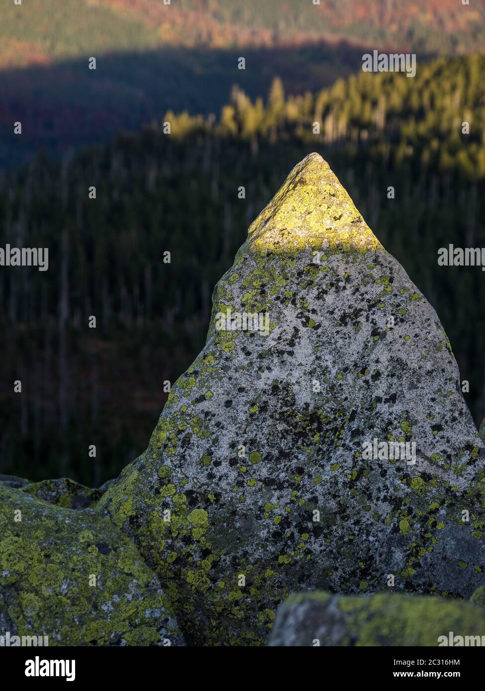 Soleil en soirée sur la montagne Lusen Banque D'Images