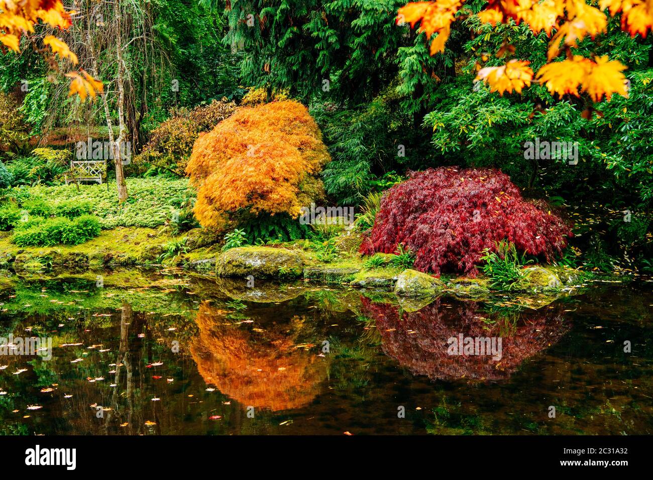 Bloedel Reserve, Bainbridge Island, Washington, USA Banque D'Images