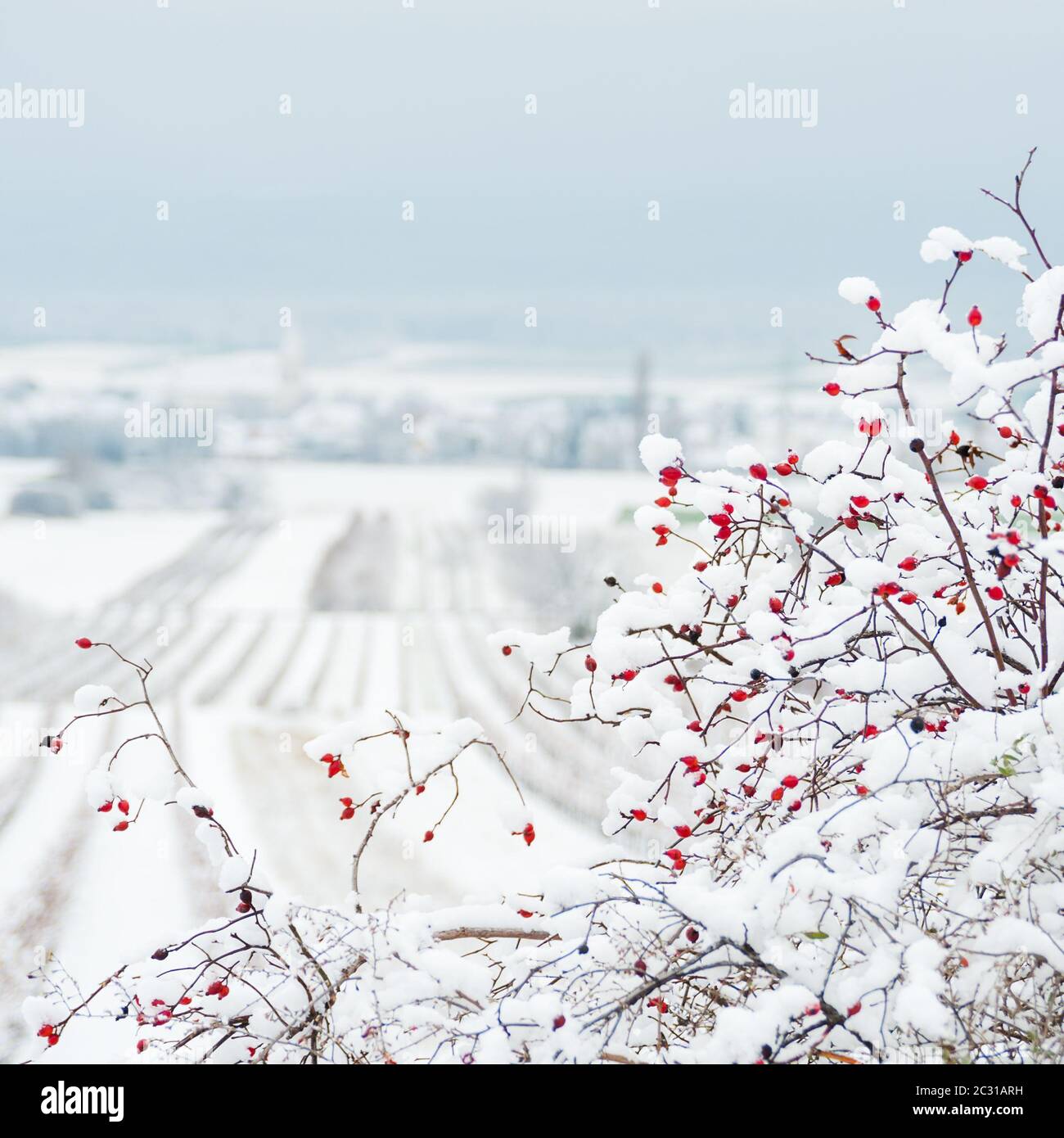 Village de Schützen dans Burgenland en hiver Banque D'Images