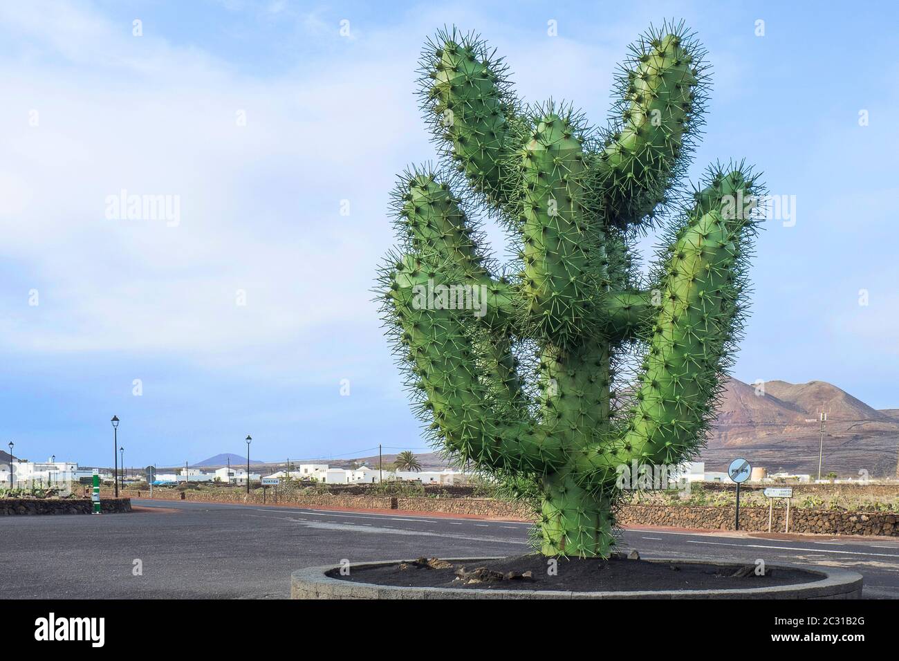 Espagne, îles Canaries sur Lanzarote - jardin de cactus à Guatiza Banque D'Images