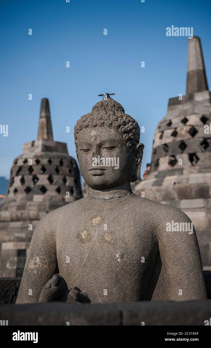 Statue de Bouddha au temple de Borobudur, à Java, en Indonésie Banque D'Images