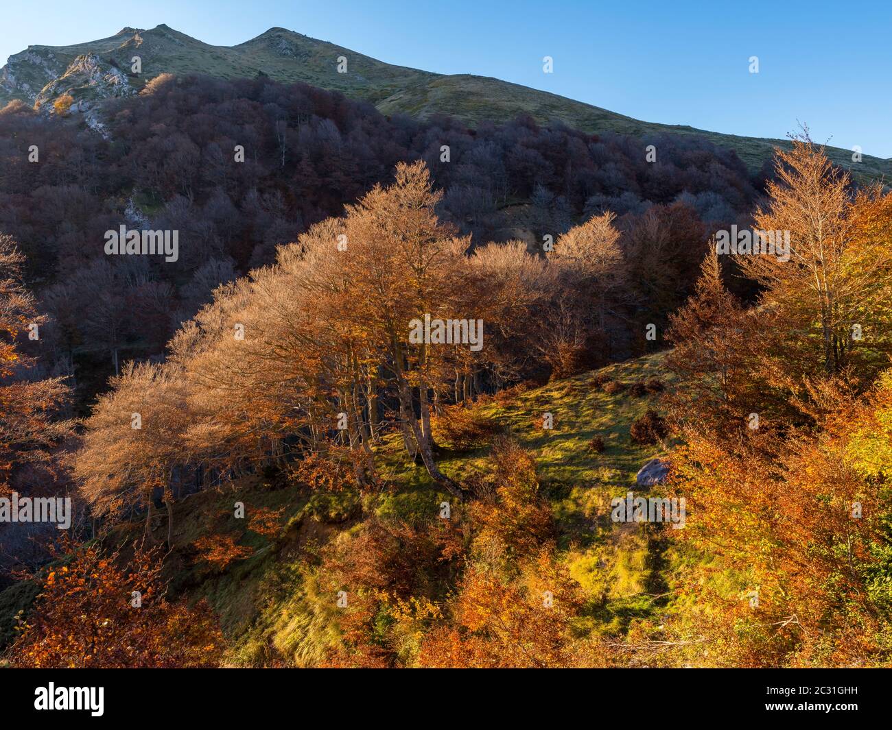 Paysage pittoresque avec forêt, Iraty, pays Basque, Pyrénées-Atlantique, France Banque D'Images