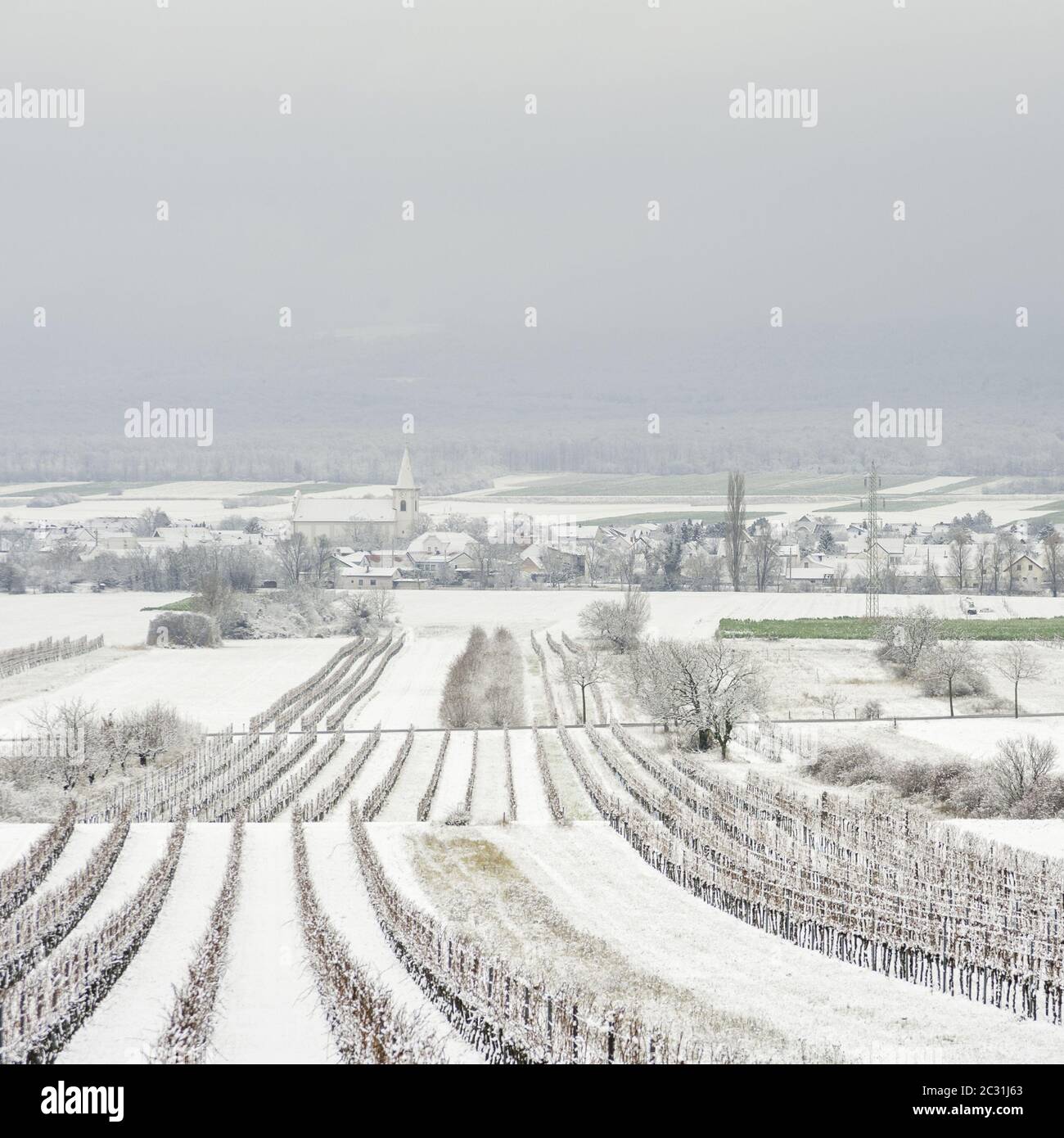 Village de Schützen à Burgenland en hiver Banque D'Images