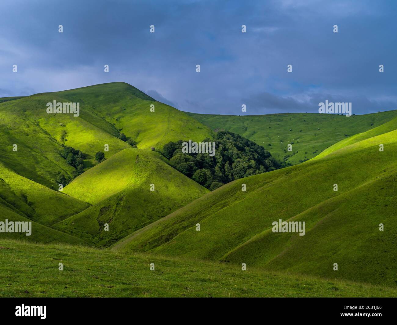 Collines verdoyantes, Urculu, montagnes de l'Iraty, pays Basque, Pyrénées-Atlantiques, France Banque D'Images