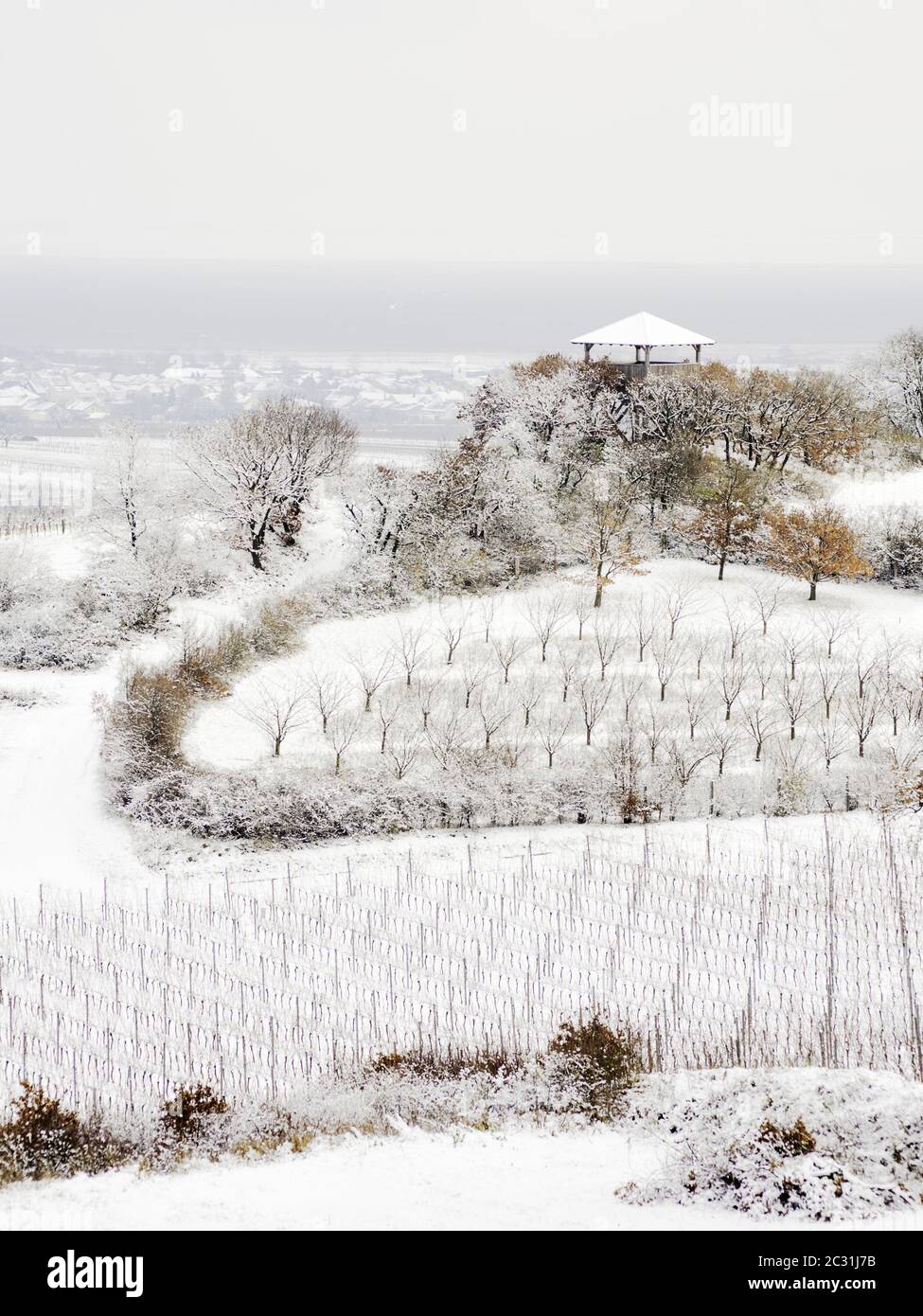 Vignobles avec tour de guet en hiver à Burgenland Autriche Banque D'Images
