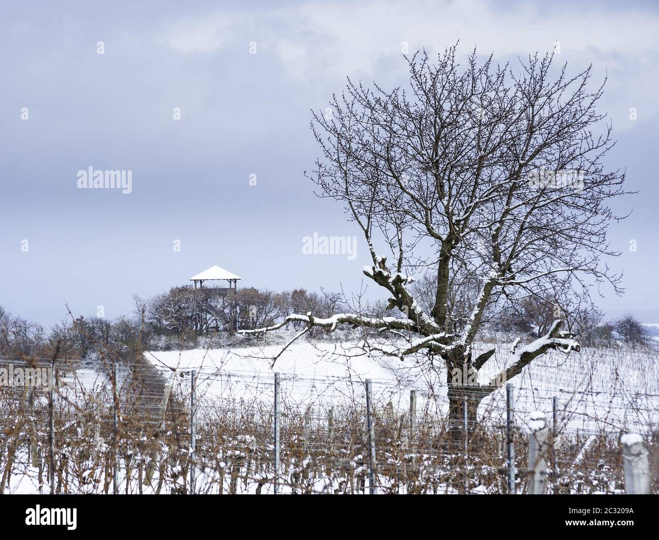 tour de guet avec vignobles et arbres en hiver Banque D'Images