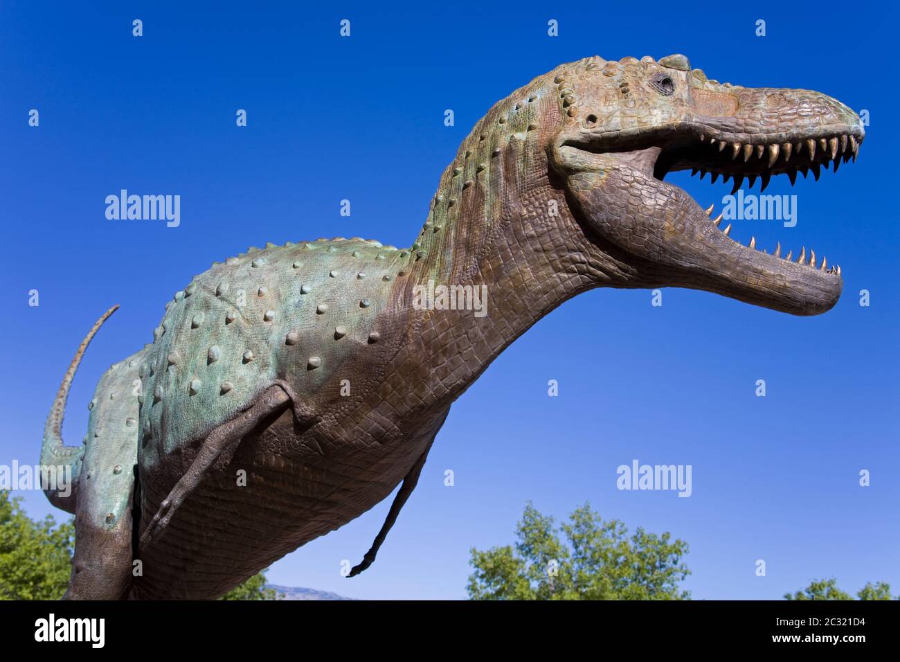 Albertosaurus au Musée d'Histoire naturelle du Nouveau-Mexique, Albuquerque, Nouveau-Mexique, États-Unis Banque D'Images
