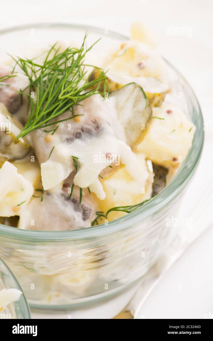 Salade de rasols à base de hareng, concombre et pomme de terre, vêtus de mayonnaise et de moutarde Banque D'Images