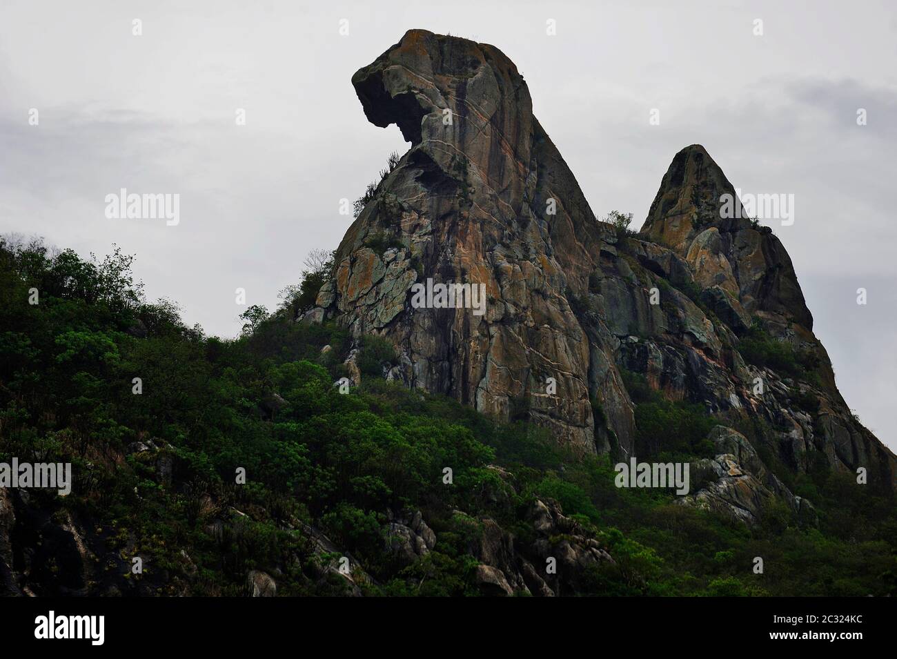 Montagne de pierre Quixadá monolithes Monument naturel, formation d'inselbergs à Ceará, Brésil, réserve naturelle. Forme de poulet, Broody Hen curieux rock Banque D'Images