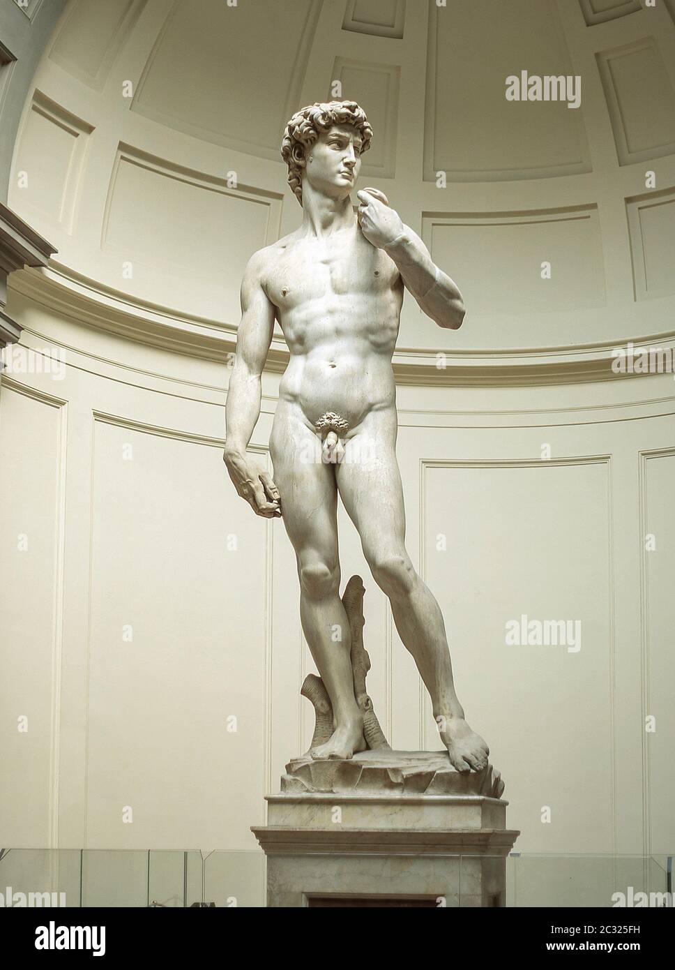 Le 'tatouage de David' par Michel-Ange, Accademia di Belle Arti, Florence (Florence), région Toscane, Italie Banque D'Images