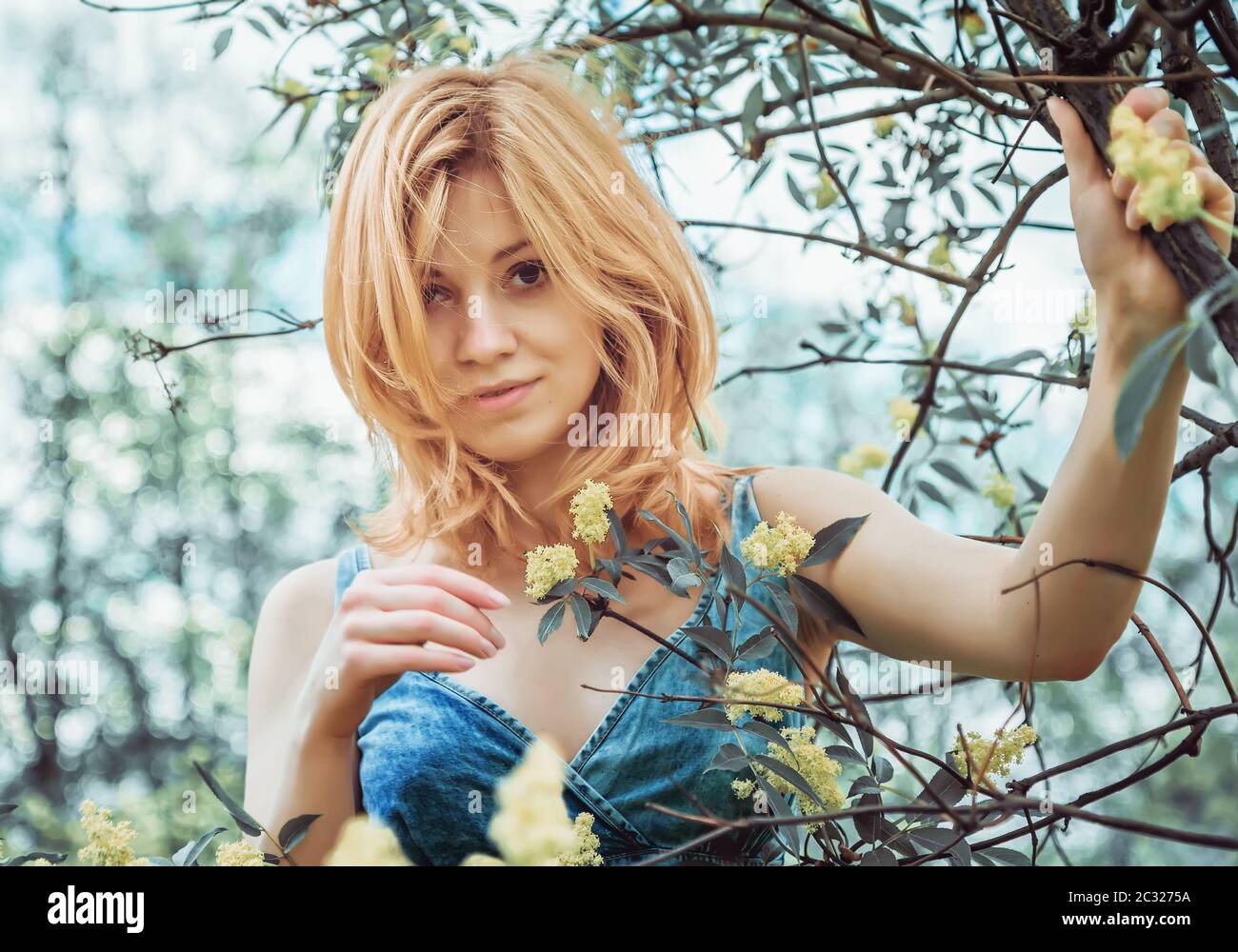 Belle blonde jeune femme en denim sujet doucement souriant avec sympathie regardant la caméra, debout parmi les branches fleuries sur la nature. Sélection Banque D'Images