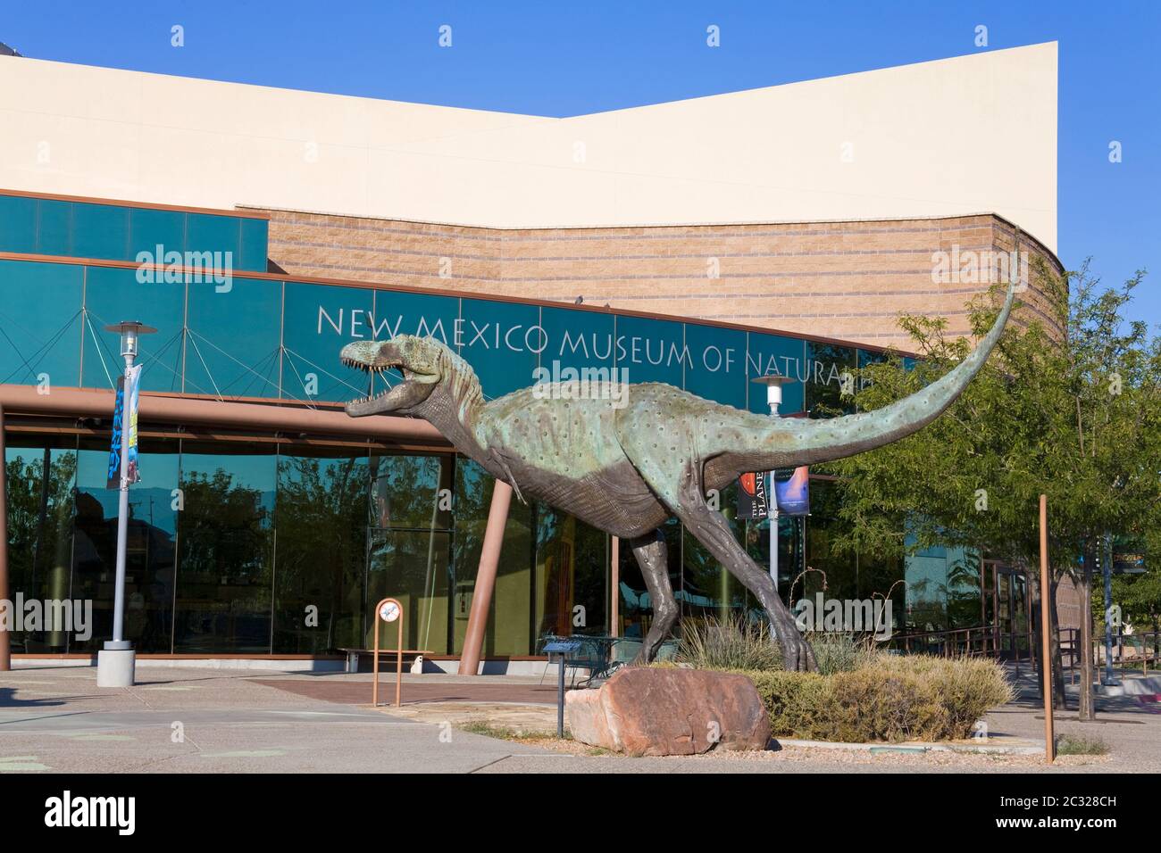 Albertosaurus au Musée d'Histoire naturelle du Nouveau-Mexique, Albuquerque, Nouveau-Mexique, États-Unis Banque D'Images