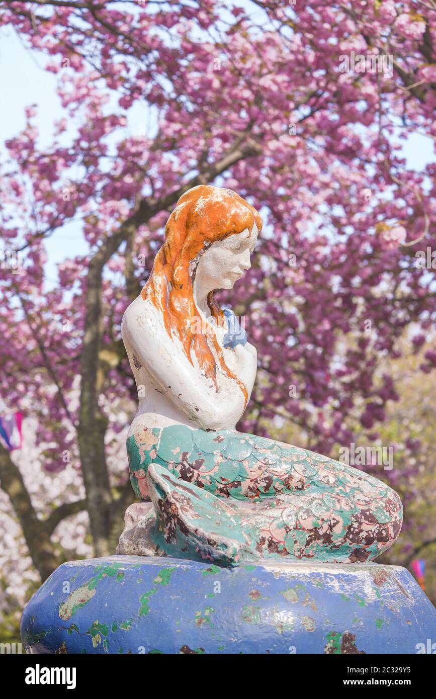 La petite Sirène du livre de Hans Christian Andersen sous les cerisiers en fleurs du parc Asukayama Banque D'Images La petite Sirène du livre de Hans Christian Andersen sous les cerisiers en fleurs du parc Asukayama Banque D'Images