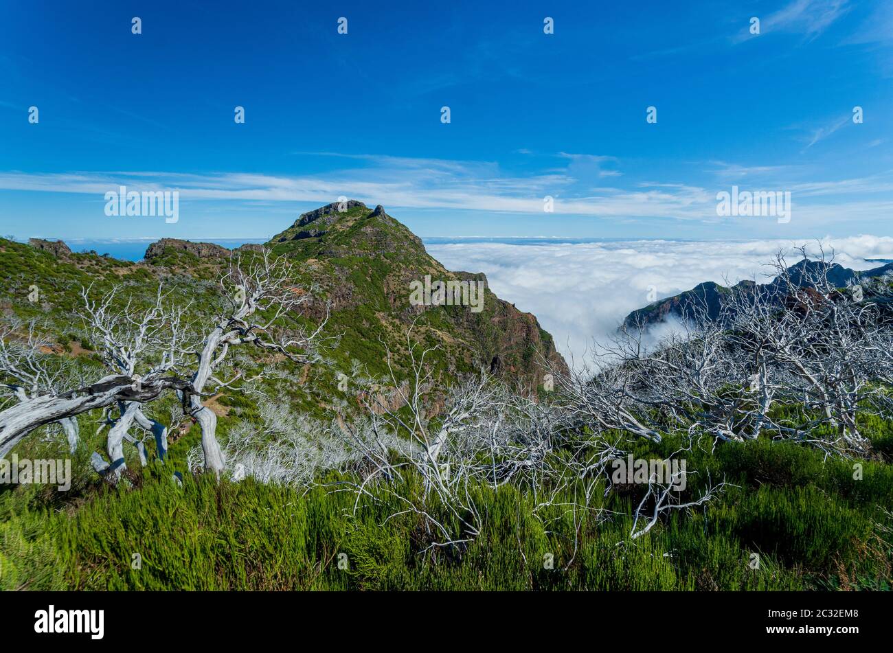 La vue sur les montagnes de Pico do Arieiro à chemin de Pico Ruivo, Madère. Banque D'Images