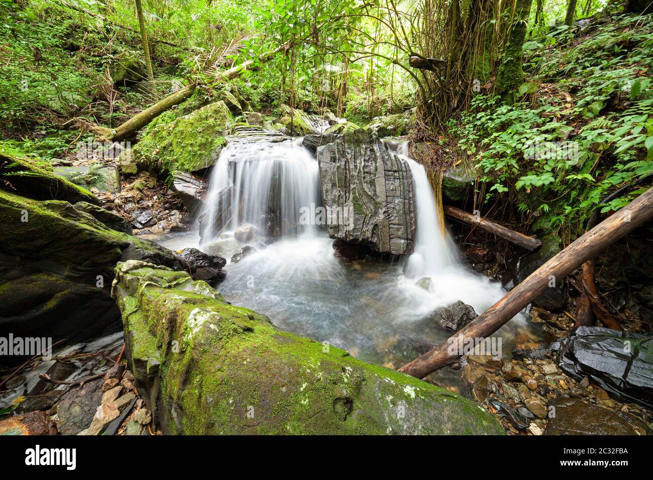 Roche gravée dans une petite chute le long du ruisseau Juan Diego dans la forêt tropicale d'El Yunque, Porto Rico. Banque D'Images