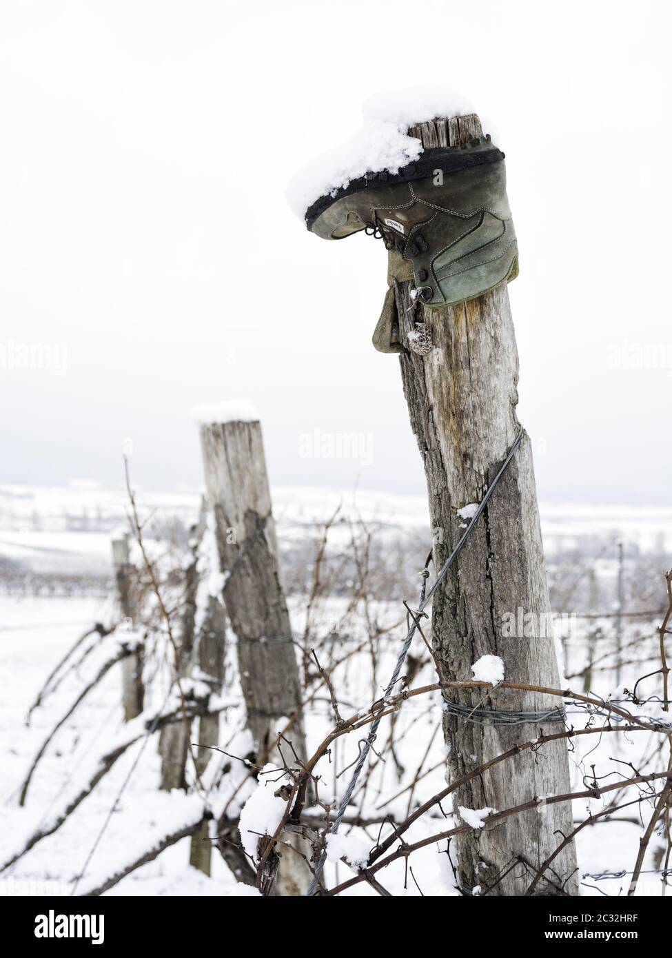 Une vieille chaussure sur un poteau en hiver Banque D'Images