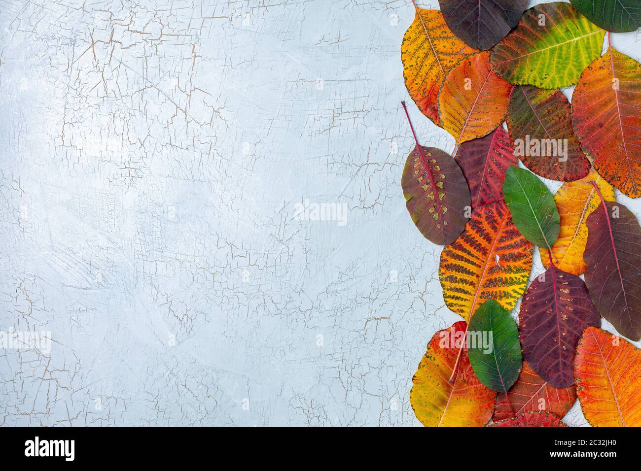 Arrière-plan d'automne avec des feuilles colorées. Banque D'Images