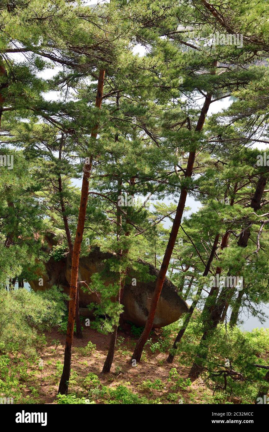 Corée du Nord. Mt. Réserve de biosphère de Kumgang. Lagoon Samil ...