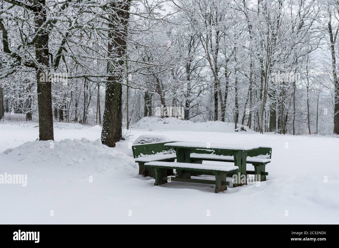 Table de pique-nique en bois avec bancs après les fortes chutes de neige Banque D'Images