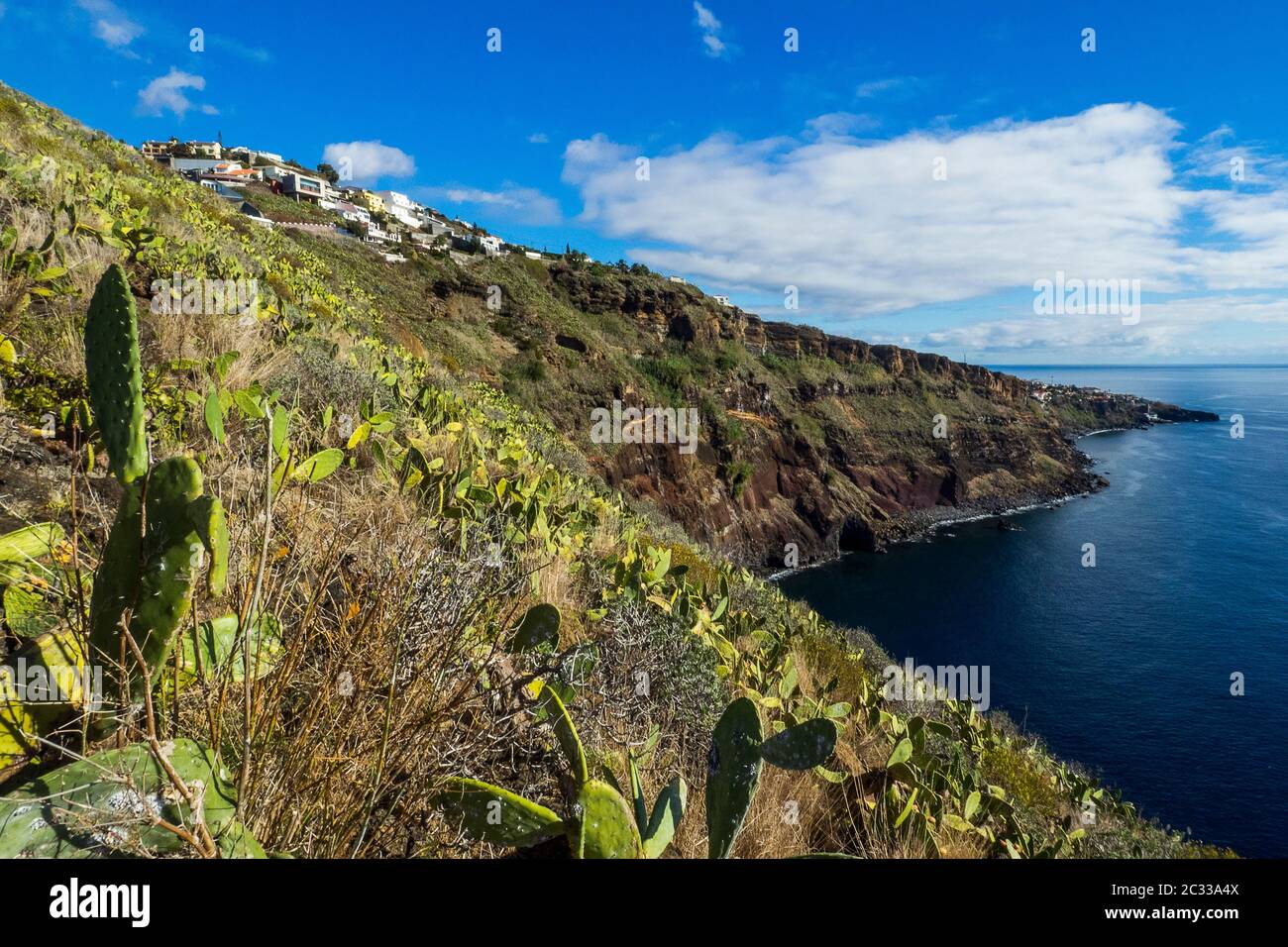 Portugal, île des Canaries sur Madère - Canico à Ponta do Garajau Banque D'Images