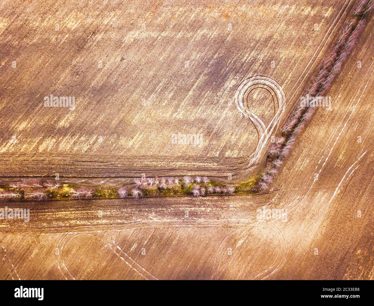 Vider le champ labouré au début du printemps. Début de la saison de jardinage, vue aérienne supérieure. Texture laquée. Scène rurale ensoleillée de mars. Biélorussie, région de Minsk Banque D'Images