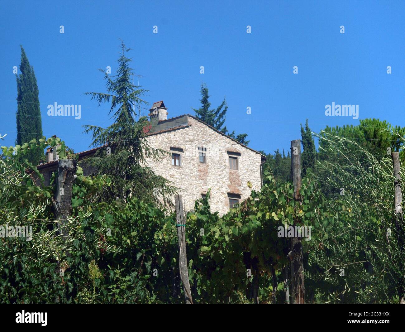 Villa en Toscane entre vignobles et oliveraies un Banque D'Images