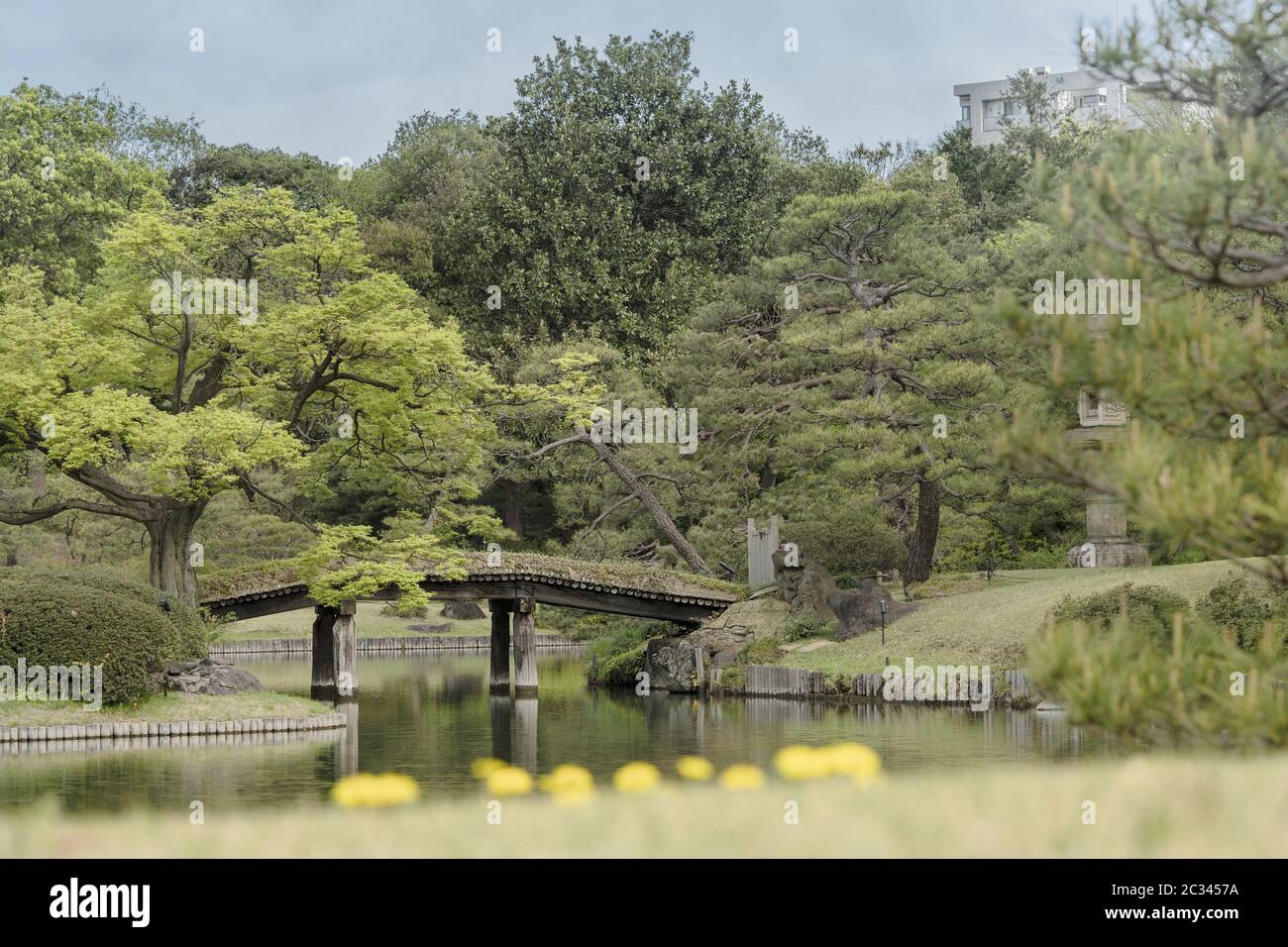 Le pont japonais en bois Dentsuru Bède sur l'étang du parc Rikugien dans le quartier de Bunkyo, au nord de Banque D'Images