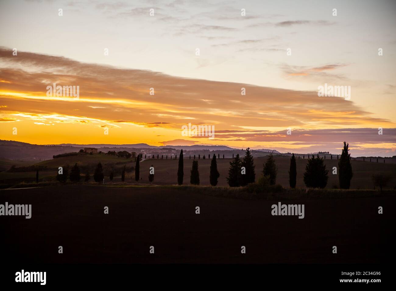 Toscana cypress silhouette dans la soirée Sunset Sky Pienza Paysage Italie Banque D'Images