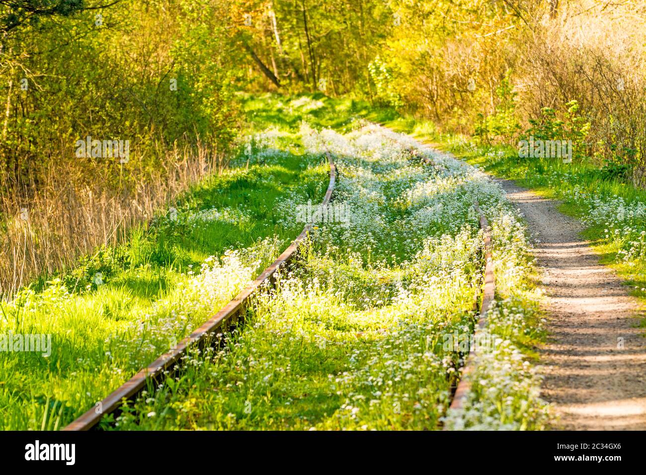 Rails de l'ordre de fleurs Banque D'Images