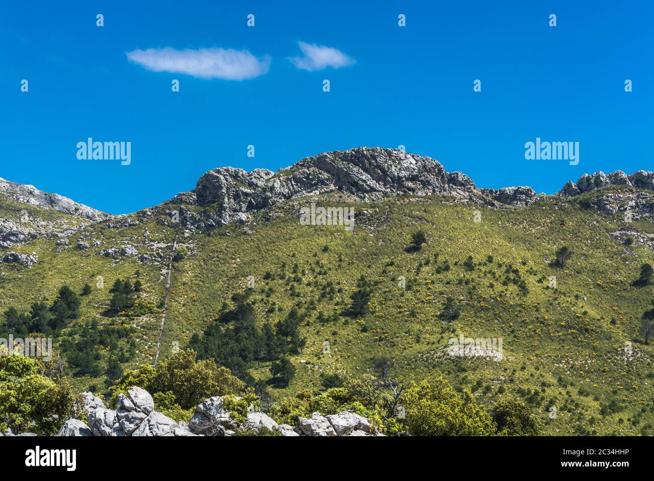 Côte Rocheuse sur l'île des Baléares Mallorca en Espagne Banque D'Images