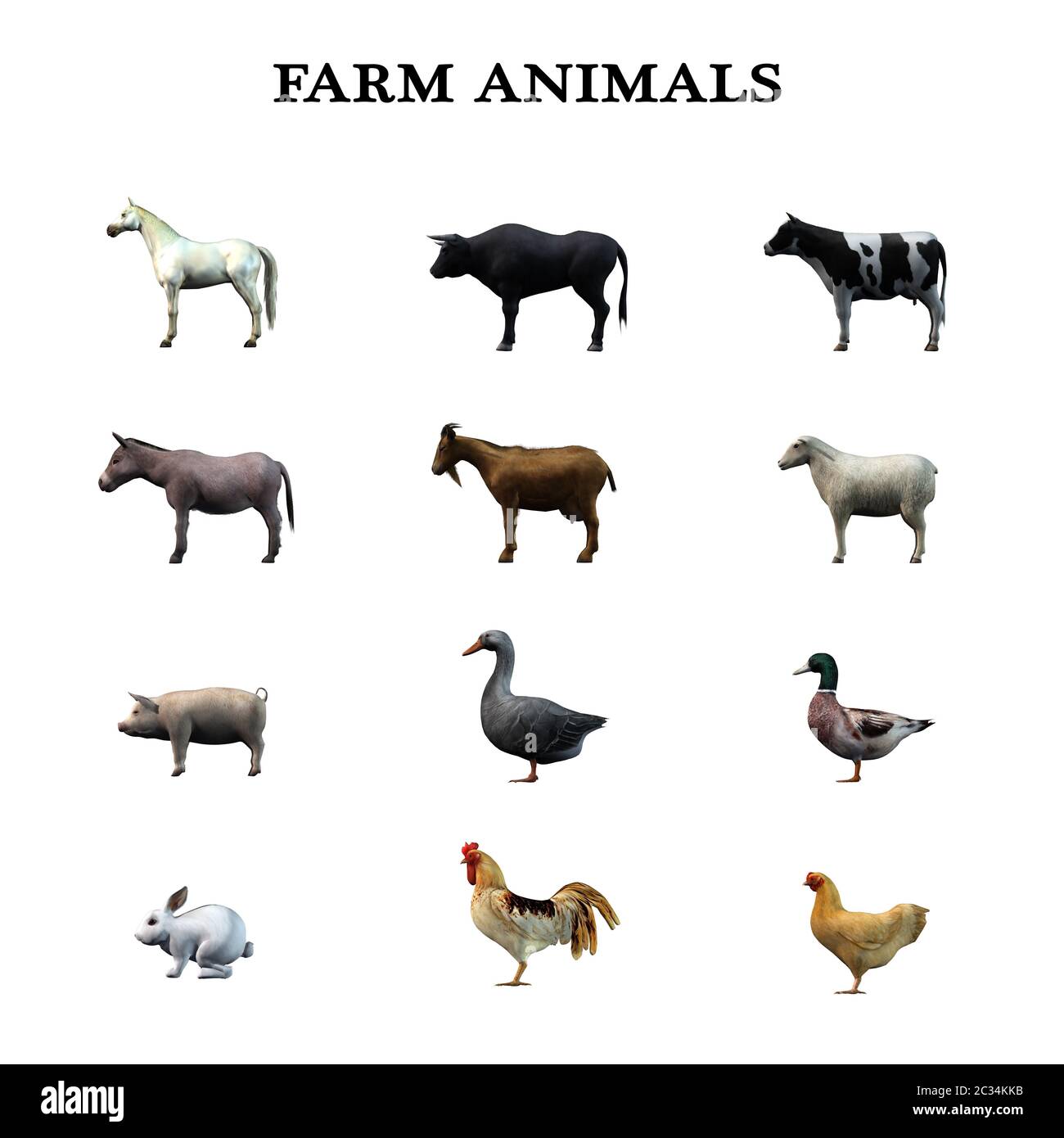 Animaux de ferme dans une vue d'ensemble Banque D'Images