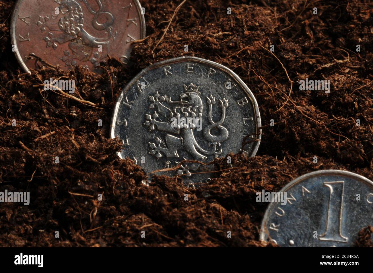 Les pièces de la République tchèque sont semées dans le sol Banque D'Images