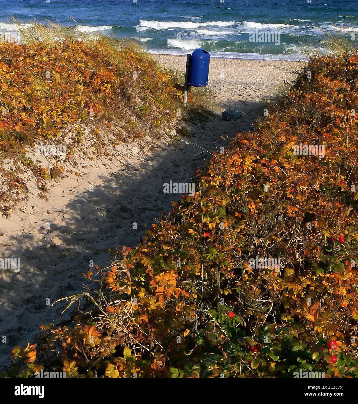Plage Banque D'Images