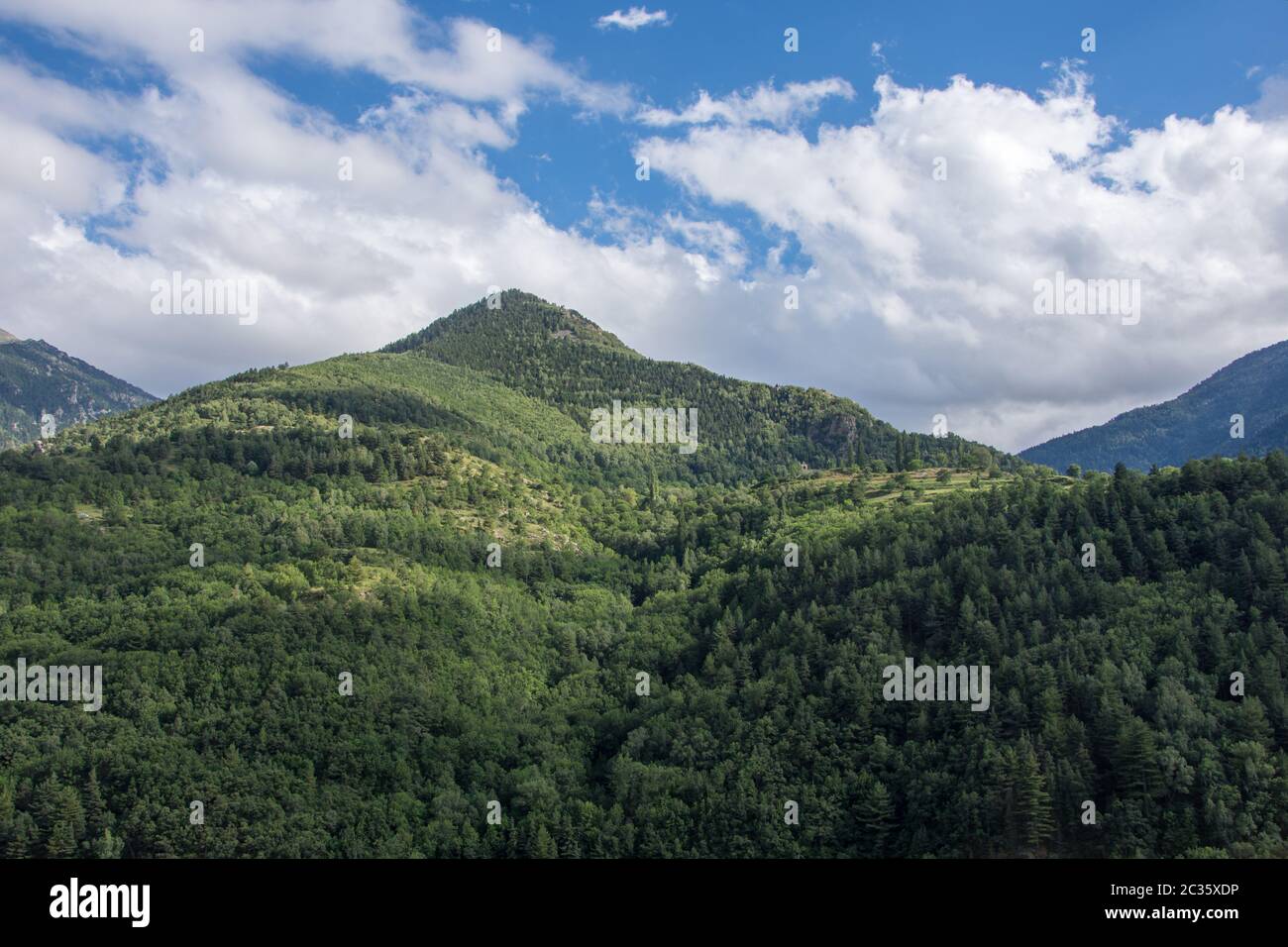 Découverte de l'est de pyrènes, sa faune et sa flore, la région de France Banque D'Images