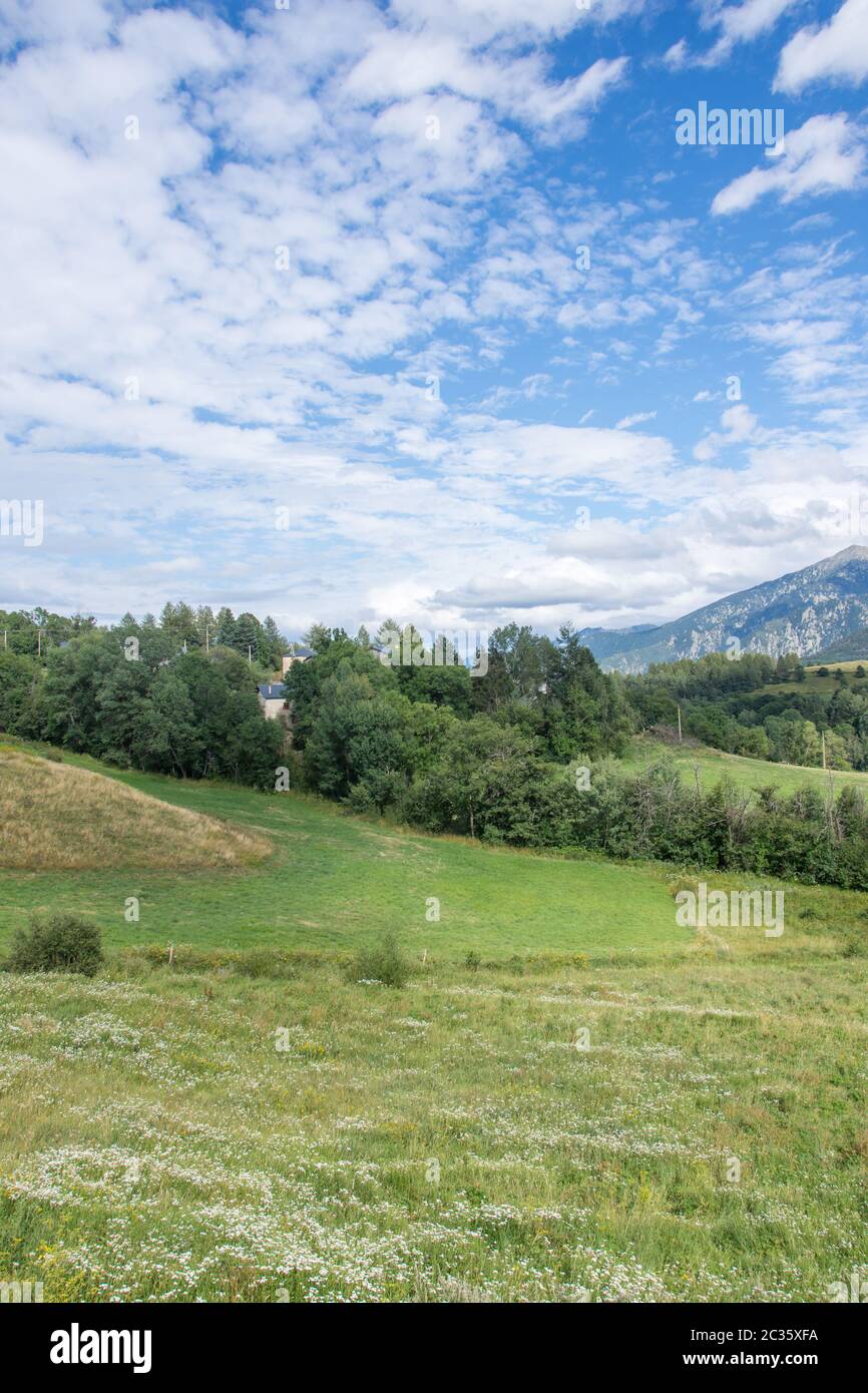 Découverte de l'est de pyrènes, sa faune et sa flore, la région de France Banque D'Images