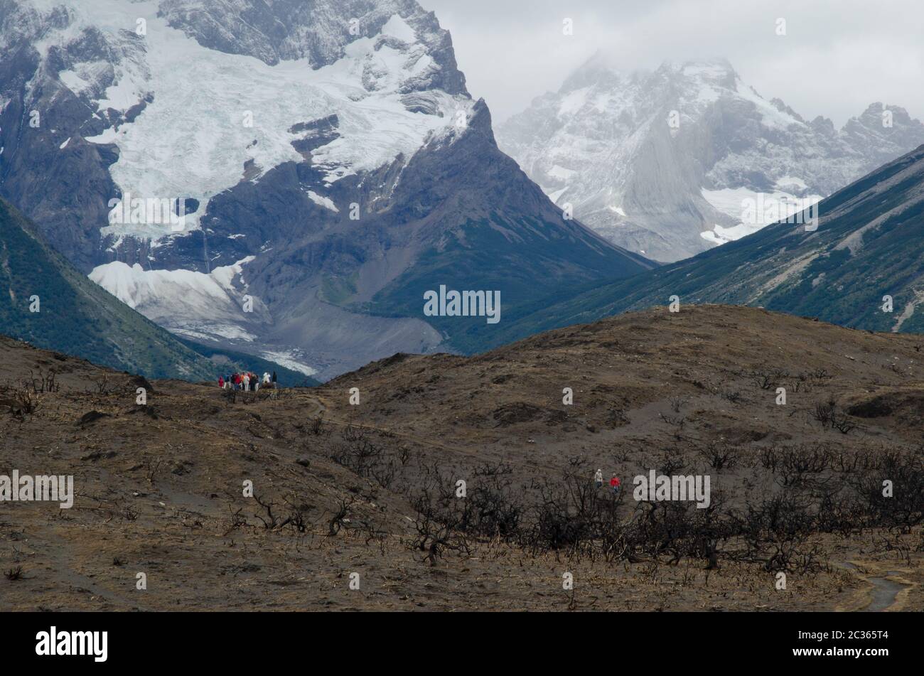 Les randonneurs sur terre brûlèrent dans le parc national Torres del Paine par le grand feu en 2011-2012. Province d'Ultima Esperanza. Magallanes et Antarcti chilien Banque D'Images