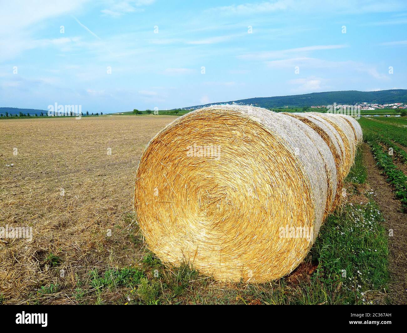 La récolte de foin sur terrain Banque D'Images