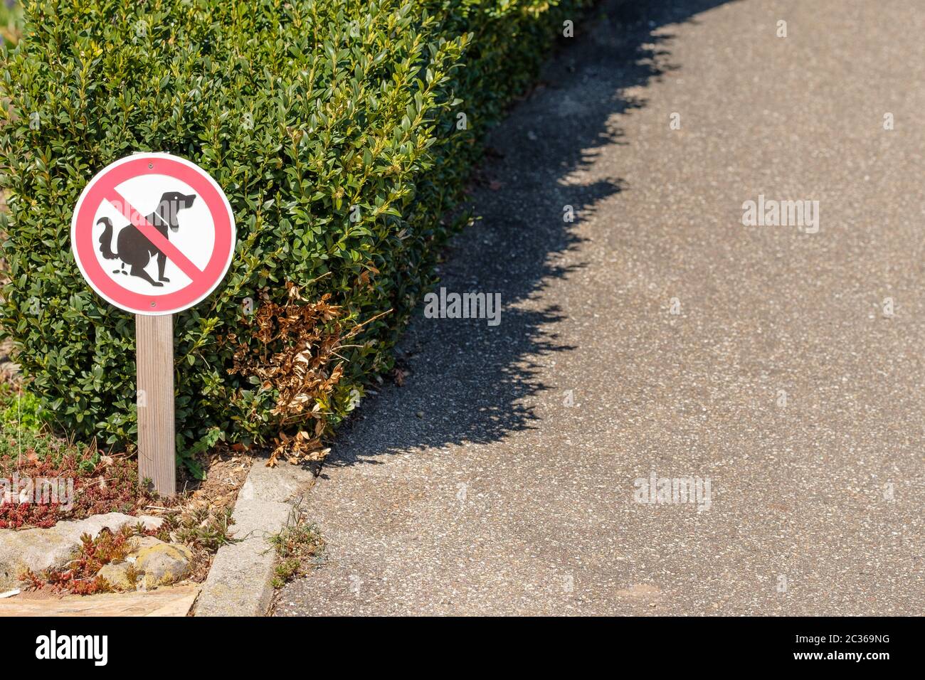 Excrement Banque D Image Et Photos Page 6 Alamy Excrement Banque D Image Et Photos Page 6 Alamy
