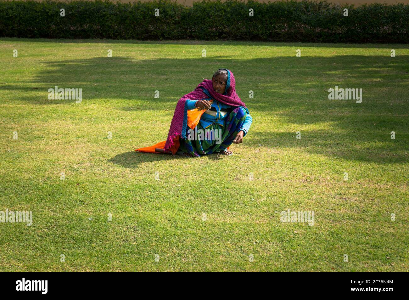 Pelouse de main de tonte indienne féminine avec herbe verte. Travail acharné des pauvres en Inde. Banque D'Images