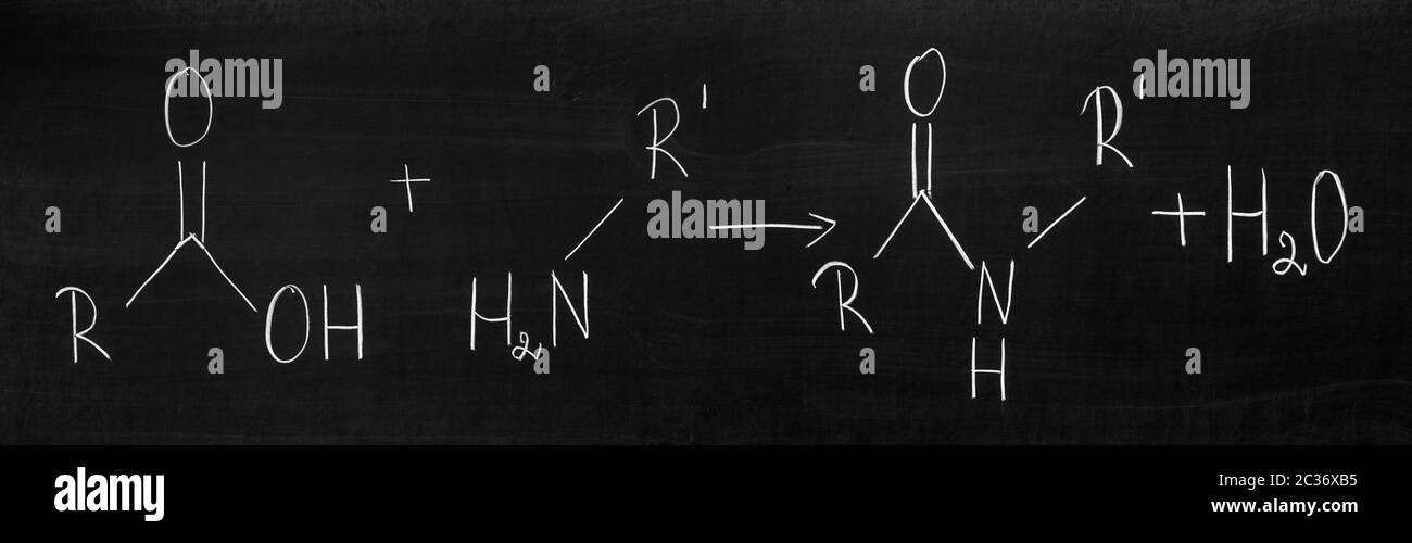 Synthèse de la déshydratation (condensation) formant un amide réaction Banque D'Images