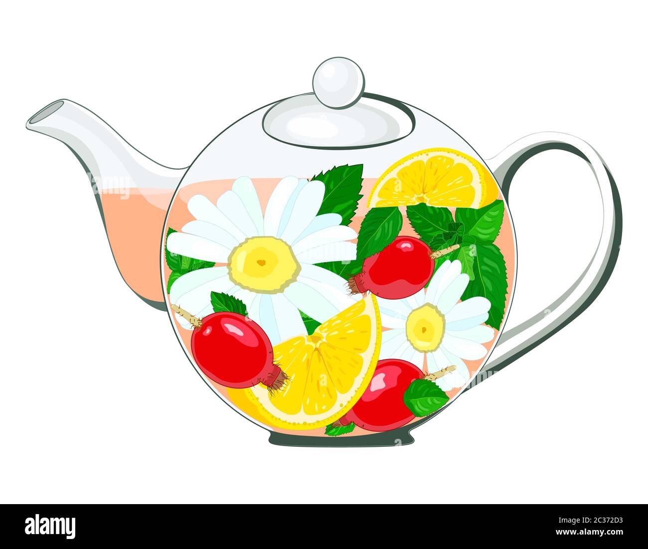 Théière en verre pour soudage . Herbe de thé, les fleurs sont brassées. Citron, camomille, menthe rosehip. Illustration Banque D'Images