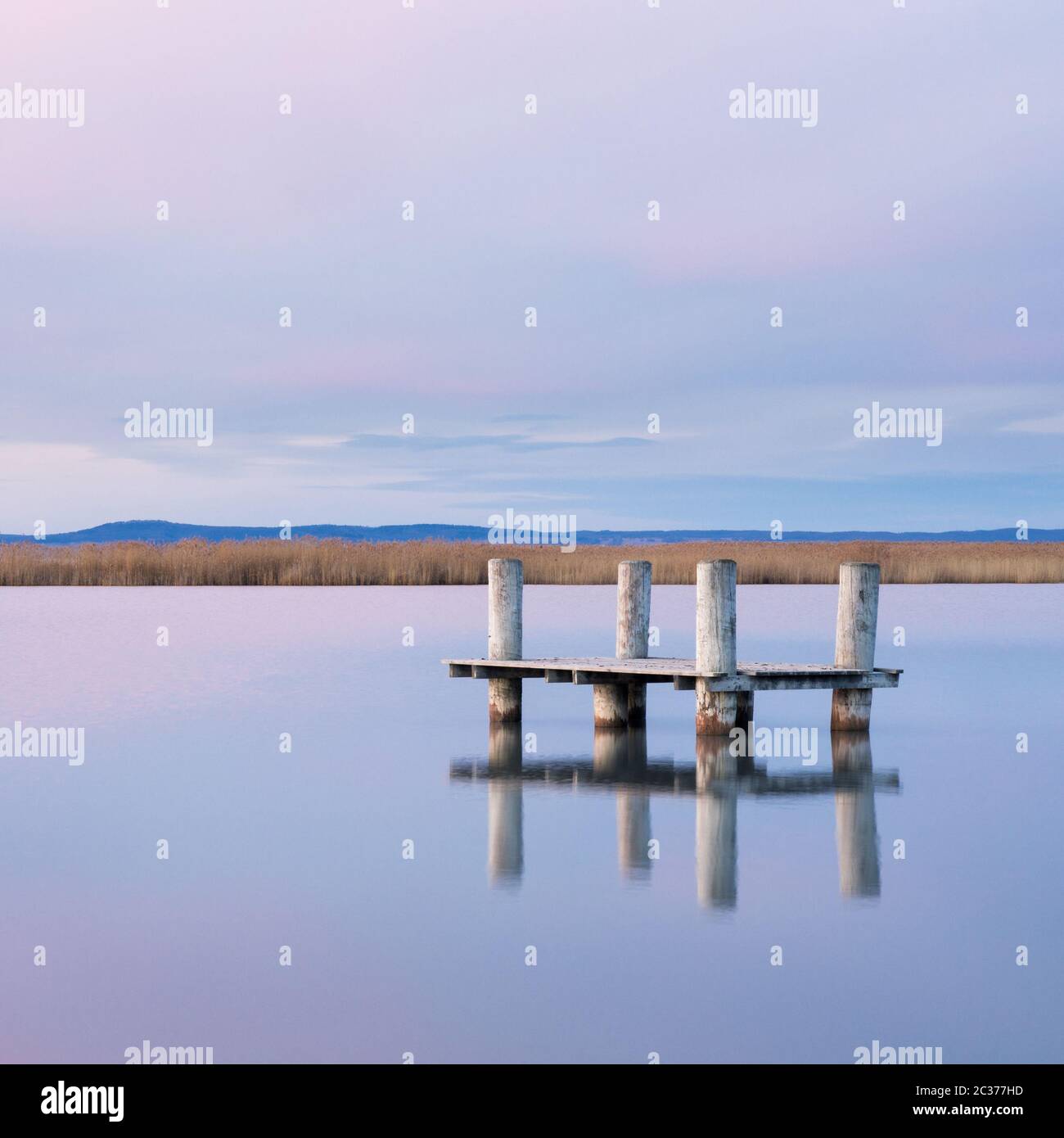 Scène tranquille sur le lac neusiedlersee en hiver Banque D'Images